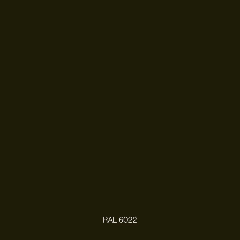 RAL 6022